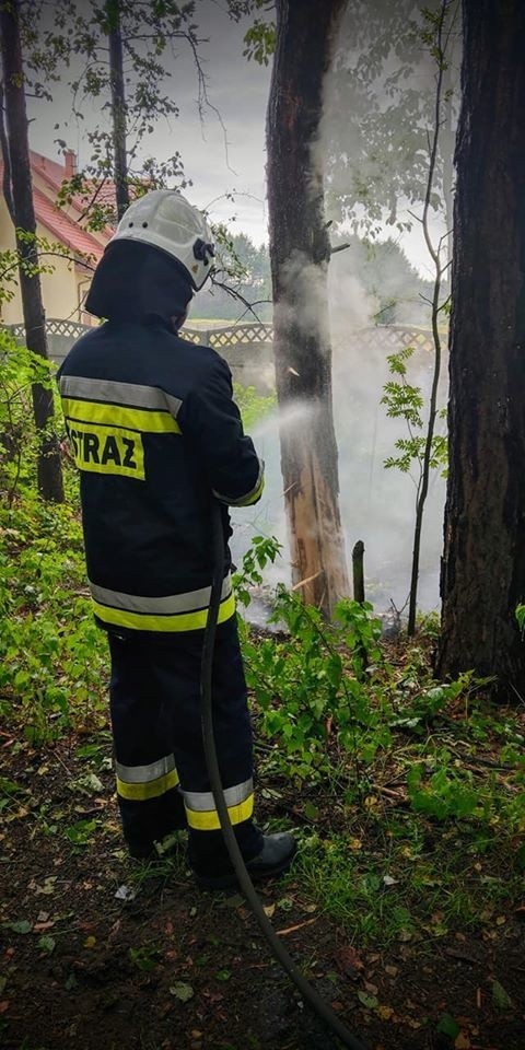 W Stalach piorun uderzył w dom, drzewo i uszkodził gazociąg! Istniała groźba wybuchu. ZOBACZ ZDJĘCIA