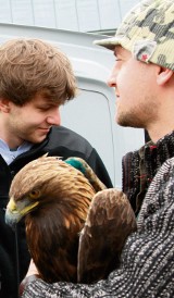 Uratowali życie zatrutemu orłowi z Magurskiego Parku Narodowego