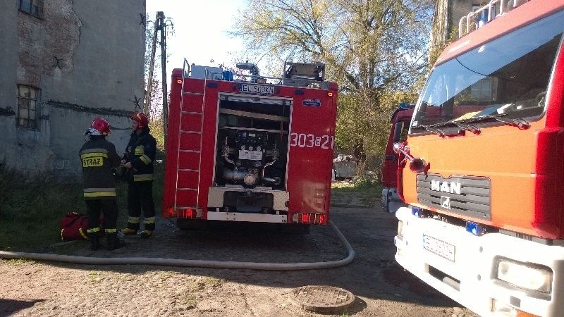 Podpalenie przyczyną pożaru przy Wróblewskiego. Z trzeciego piętra ewakuowano pięć osób i psa