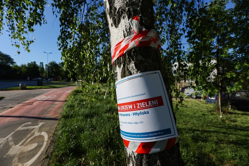 Kraków. Zaprotestowali przeciw wycince drzew w związku z budową linii tramwajowej do Mistrzejowic [ZDJĘCIA]