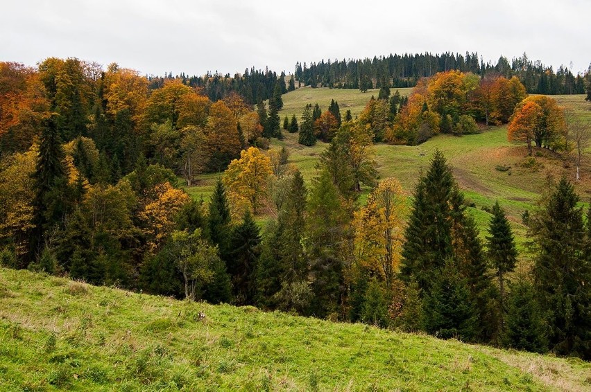 Piękna jesień w Pieninach [ZDJĘCIA]