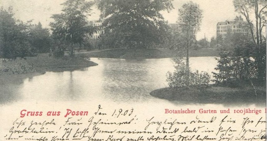W 1903 roku część Ogrodu Botanicznego była już otwarta dla...