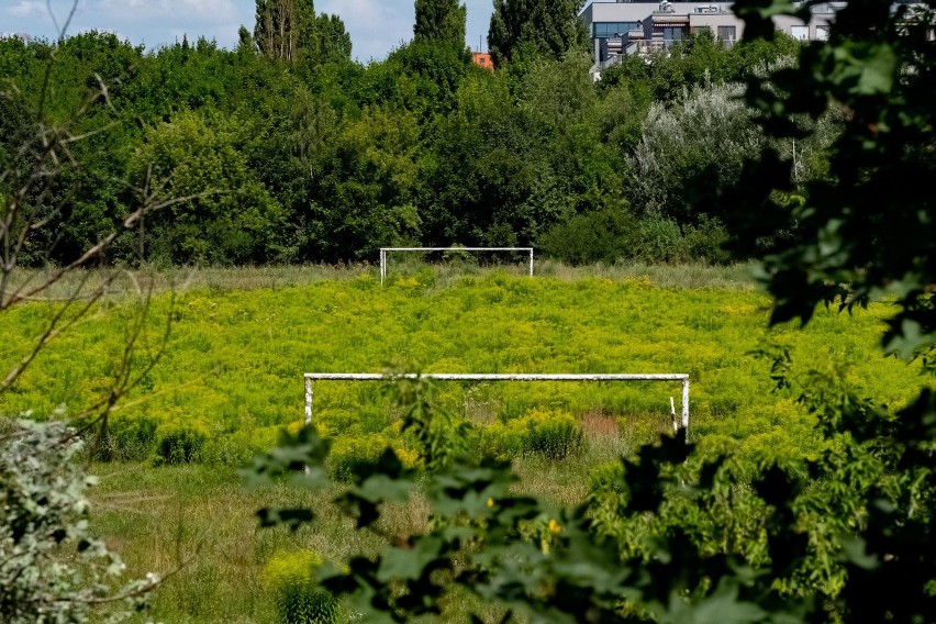 Czy na terenie, gdzie znajduje się stadion Szyca, powinien...