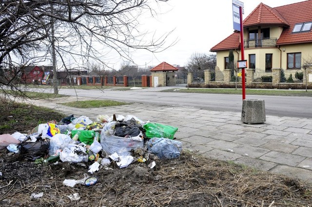 Działka znajdująca się przy ulicy Kaszubskiej jest regularnie zaśmiecana. Jej właściciel twierdzi, że wie kto tego dokonuje.