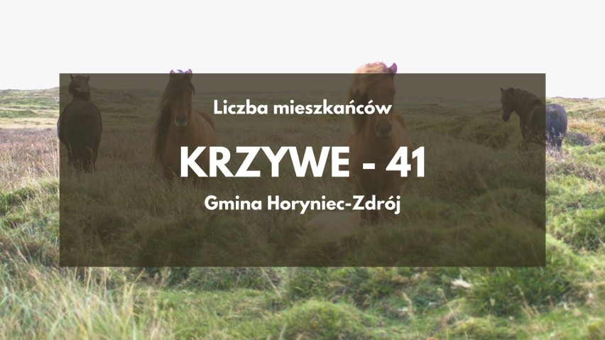 Najmniejsze wsie na Podkarpaciu. Sprawdź nasz ranking TOP 25