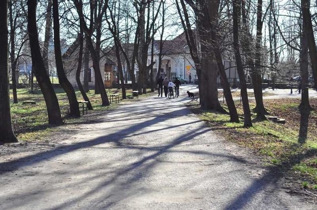 Przy części alejek parku dzikowskiego w Tarnobrzegu nie ma koszy na śmieci.