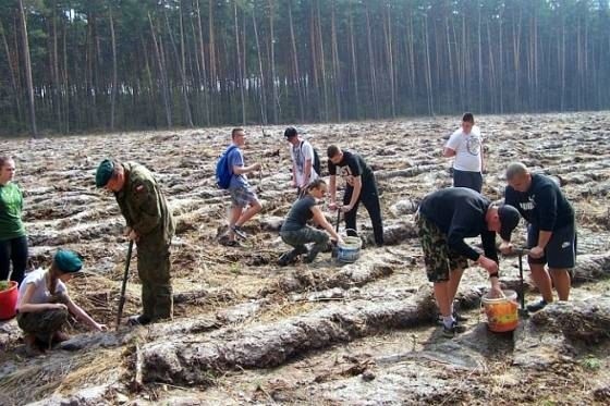 Sadzenie drzew na powierzchni pozrębowej w Ciemnym Kącie