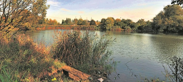 Glinianka na razie jest miejscem spotkań okolicznych wędkarzy. Teren wokół niej gęsto porastają rośliny. To może być niezwykle malownicze otoczenie dla Akademii Muzycznej, a jak zapowiada jej rektor, w takich okolicznościach przyrody mógłby się odbyć niejeden plenerowy koncert