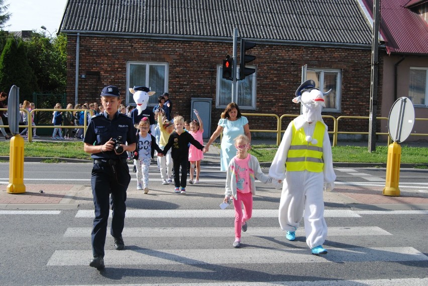 Nowy Koziołek Spoko we Włoszczowie. Policjanci uczyli dzieci bezpiecznych zachowań. Przede wszystkim w drodze do szkoły (ZDJĘCIA, WIDEO)
