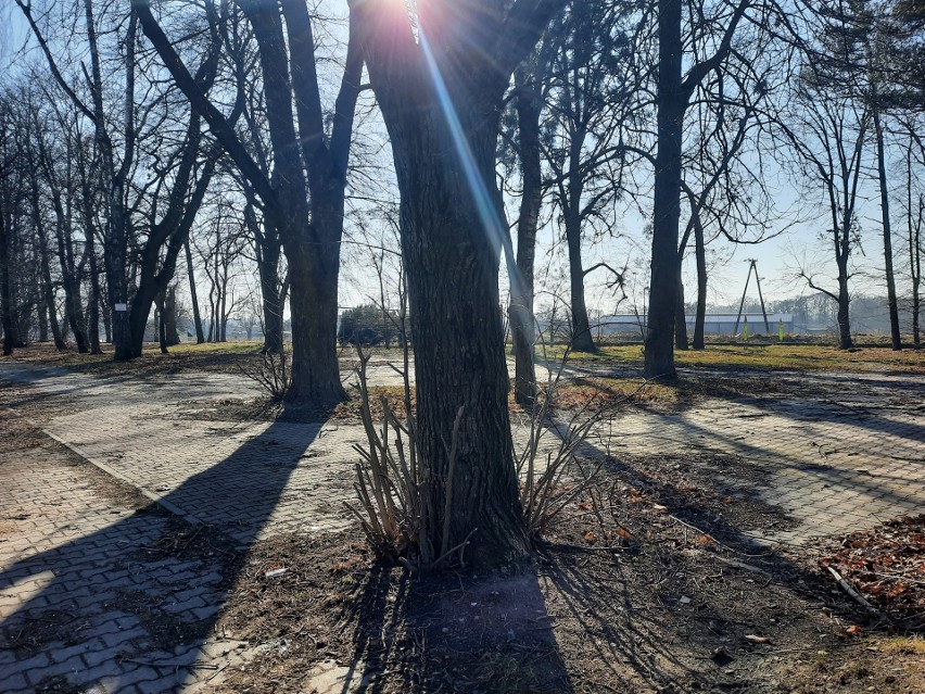 Dawny park cukrowniczy we Włostowie odzyska blask? Gmina Lipnik planuje rewitalizację. Zobacz zdjęcia