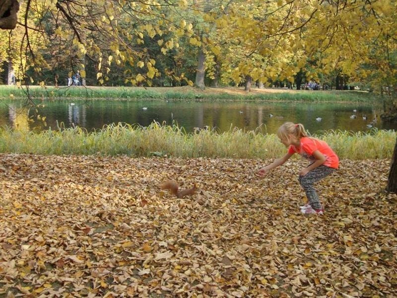 Jesień na zdjęciach Czytelników