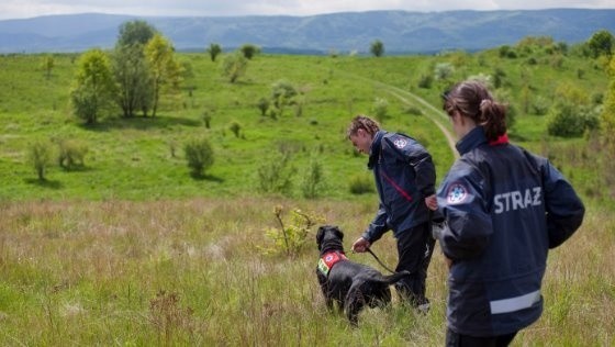 OSP JRS we Wrocławiu ratuje życie z pomocą psów ratowniczych