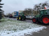 Piła: Protest rolników. Zablokowali drogę. Domagają się odstrzału dzików [ZDJĘCIA]