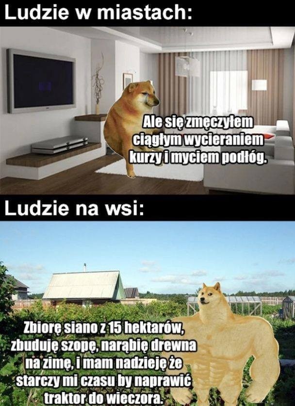 W naszym regionie rolników nie brakuje, wielu sobie...