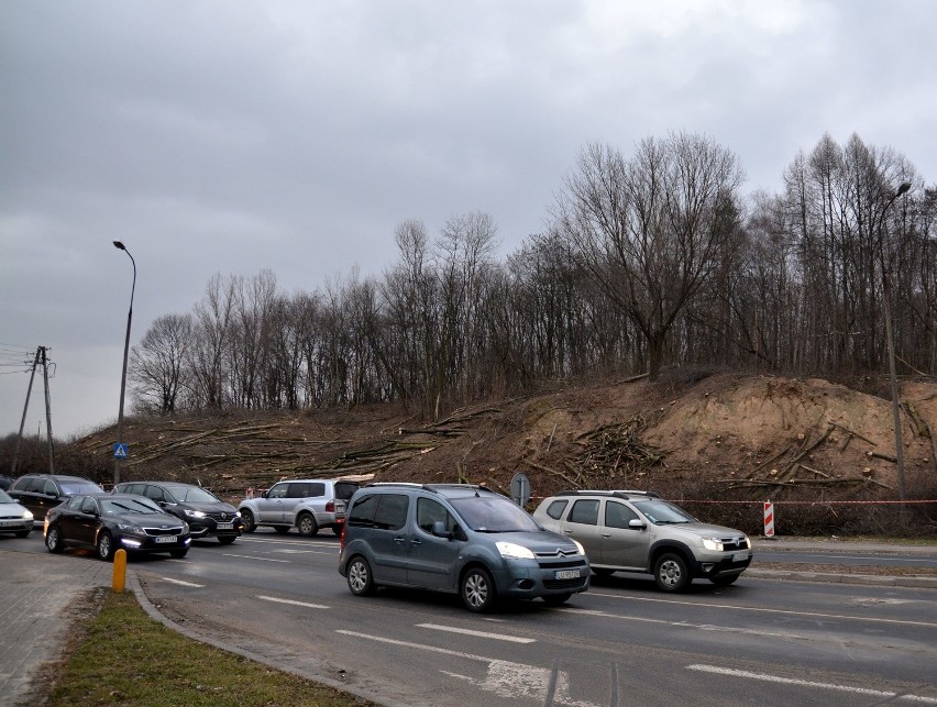 Wycinka drzew przy ul. Ducha w Lublinie. To wstęp do przebudowy ważnego skrzyżowania (ZDJĘCIA)