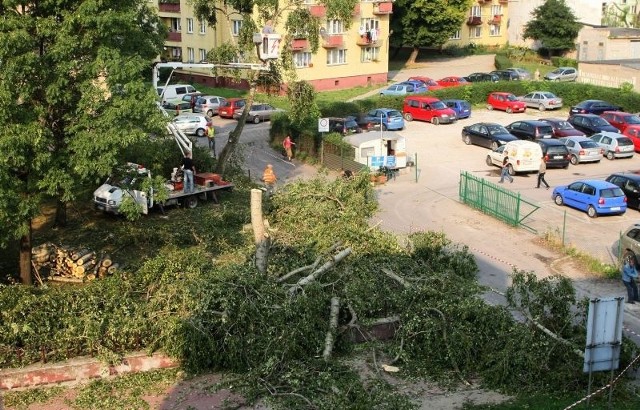 Właściciel działki przy ulicy Panoramicznej w Kielcach wyciął drzewa, bo gałęzie spadały na samochody. Ale na wycinkę nie wszystkich miał zezwolenie.