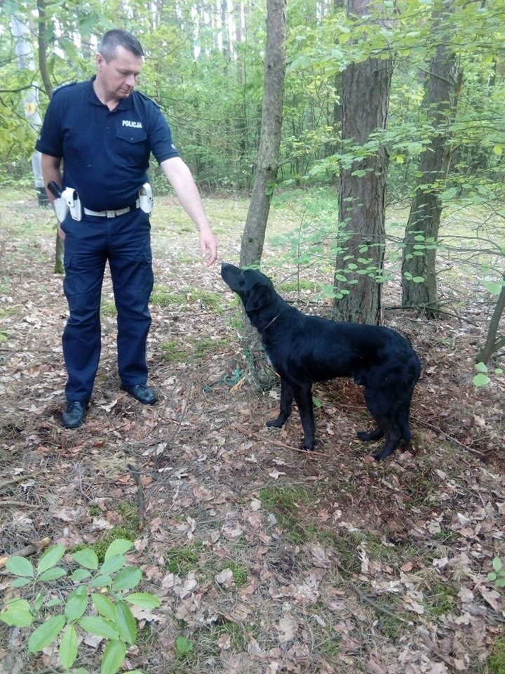 Ktoś przywiązał psa do drzewa w lesie w Durdach i pozostawił! Kto rozpoznaje tego czworonoga i zna właściciela? (ZDJĘCIA)