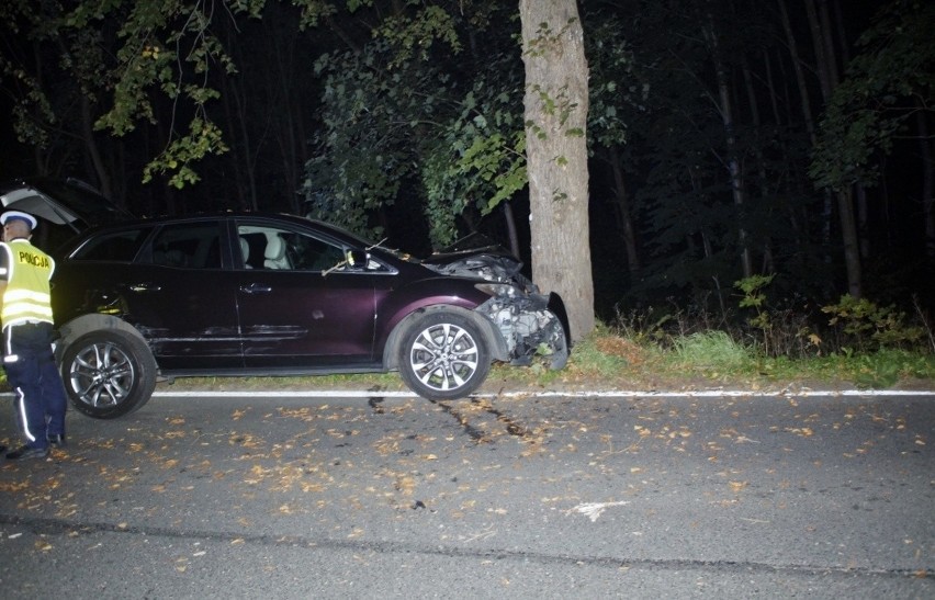 Kolizja koło Lubuczewa. Samochód osobowy uderzył w drzewo [ZDJĘCIA]