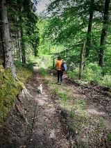 II Dogtrekking Polanów 2020 za nami (II część fotorelacji)