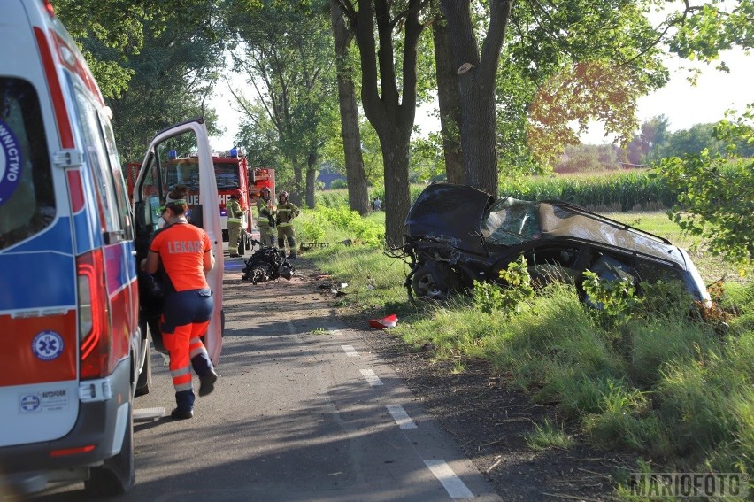 Wypadek w Wawelnie pod Opolem. Samochód wjechał do rowu