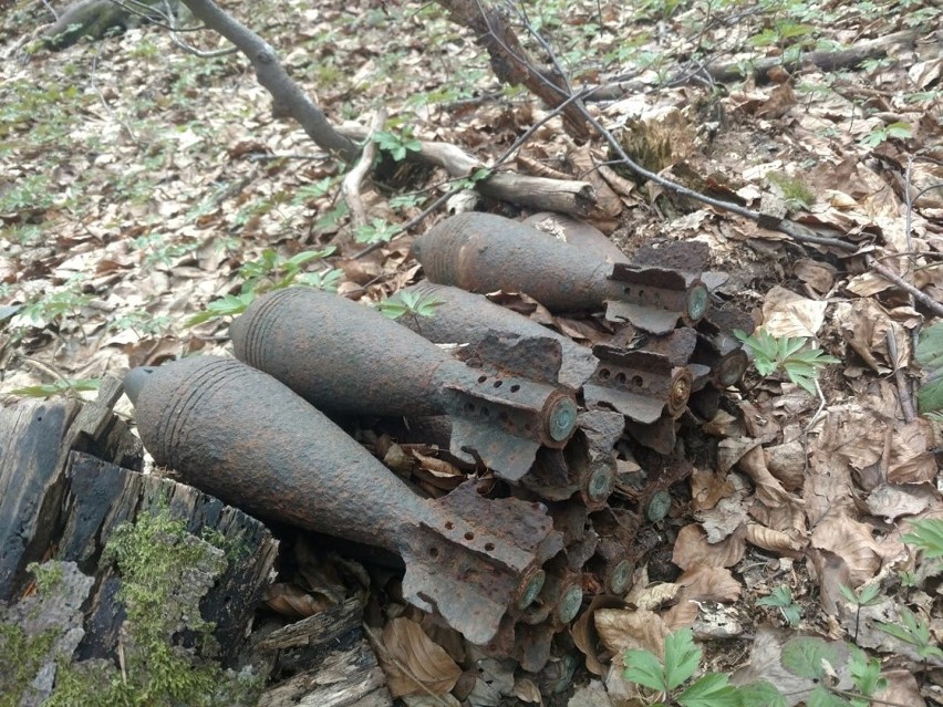 Podkarpacie. Groźne żelastwo znaleziono w lesie - ponad 50 sztuk granatów moździerzowych i nie tylko