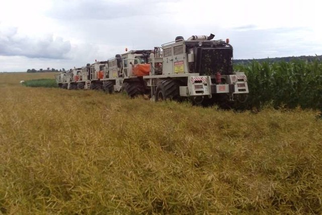 W 2013 r. poszukiwania metodą wstrząsów sejsmicznych przeprowadziła pod Praszką i Wołczynem firma San Leon Energy. Później jednak nie była zainteresowana wierceniem.