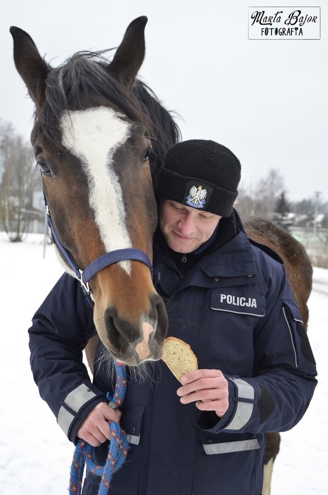 Policyjny koń Blue Baker odzyskuje siły po operacji krtani