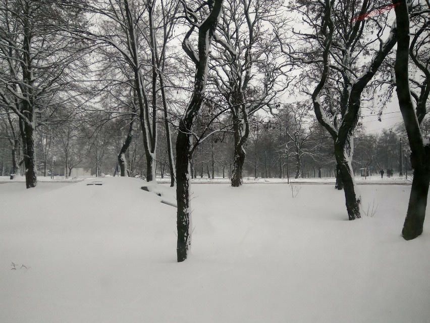 Ruda Śląska: Zima w mieście [ZDJĘCIA]