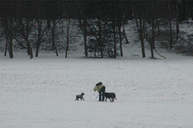 Towarzystwo Opieki nad Zwierzętami apeluje, by podczas spacerów szczególnie uważać teraz na swoje pupile.