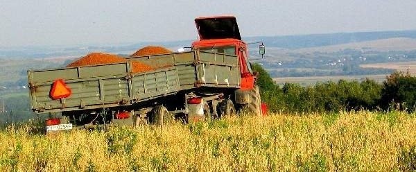 W ramach dopłat obszarowych za ub. rok podkarpaccy rolnicy otrzymali 292 mln złotych. Całkowite wsparcie z ARiMR wyniosło 485 mln złotych. Najwięcej zyskali rolnicy z powiatu jarosławskiego, bo 44 mln złotych.