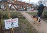 W Szczecinie grasuje nieuchwytny truciciel psów. Policja ma rysopis mężczyzny