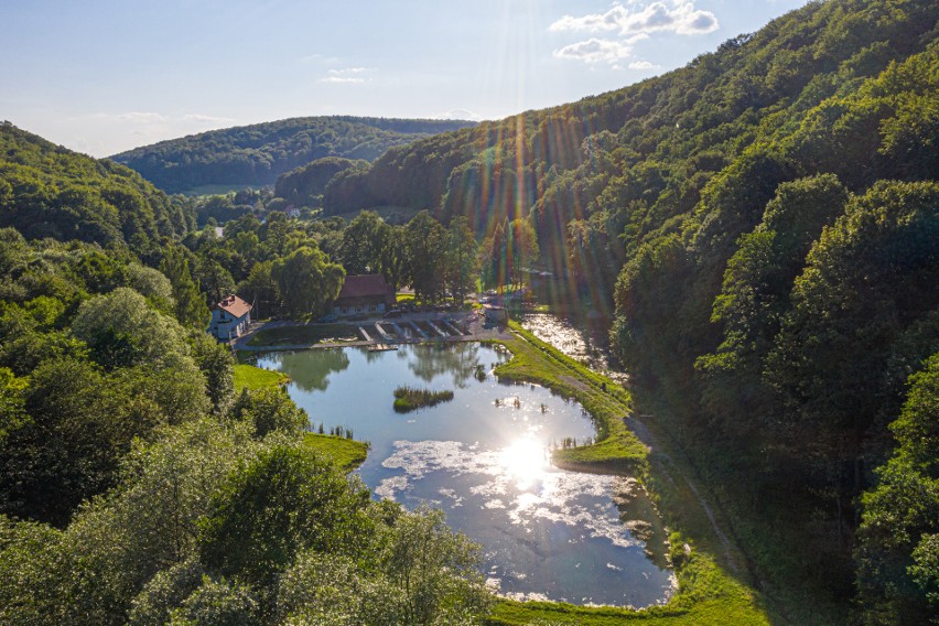 Poznajcie pstrągarnię Rózin w Dubiu. To najstarsza...