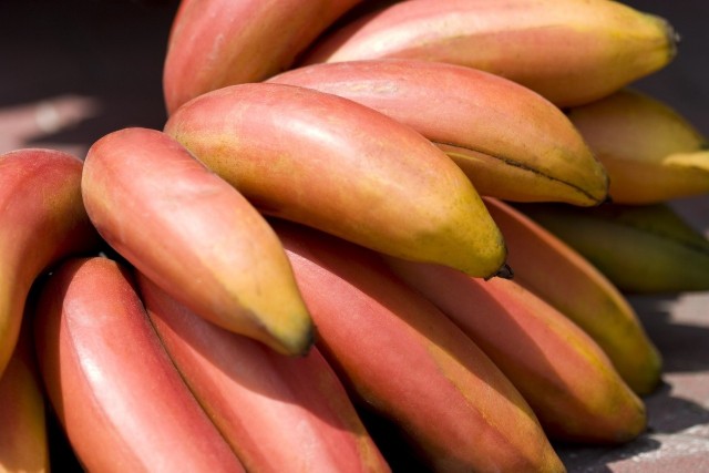 Banany to nie tylko dobrze nam znane żółte owoce. Mają znacznie więcej gatunków i odmian, m.in. są banany czerwone, które można już kupić nawet w marketach.