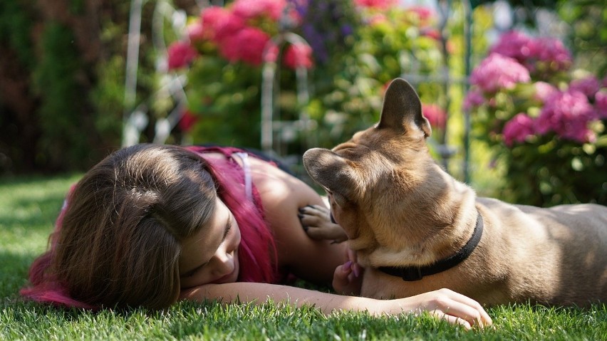 Obecność psa pomaga w łagodzeniu objawów zaburzeń lękowych i...