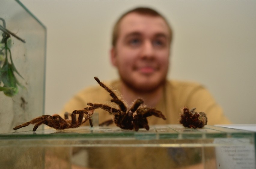 Tak wyglądała Noc Biologów UAM w poprzednich latach.