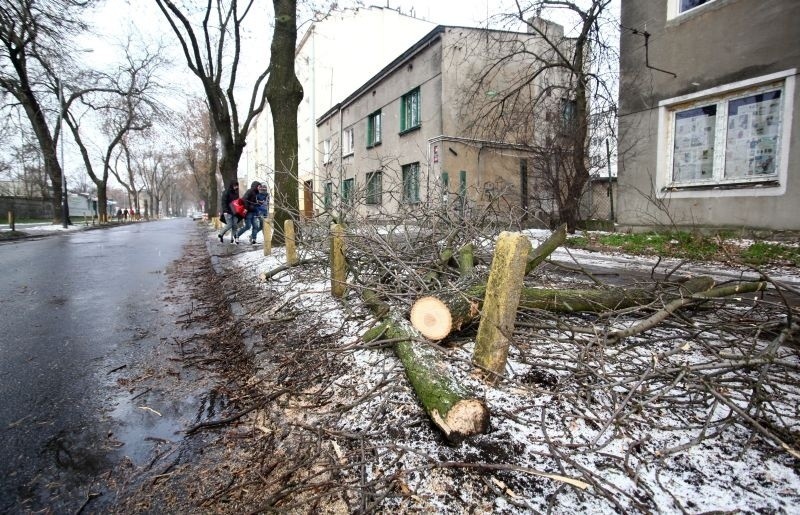 Ponad 80 interwencji strażaków [FILM, zdjęcia]