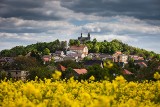 Harmonogram uroczystości na Górze Świętej Anny. Jakie pielgrzymki odbędą się w 2023 roku?