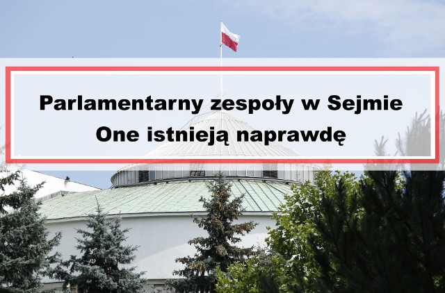 W polskim Sejmie posłowie na posiedzeniach parlamentu i podczas obrad komisji sejmowych czy w pracach parlamentarnych zespołów zajmują się zarówno sprawami ważnymi dla naszego kraju, jak i tymi mniej istotnymi, bardziej przyziemnymi. W Sejmie istnieje wiele zespołów parlamentarnych, których nazwy mogą wywołać uśmiech na twarzy. Zobaczcie, jakie zespoły parlamentarne działają w Sejmie i czym zajmują się posłowie.