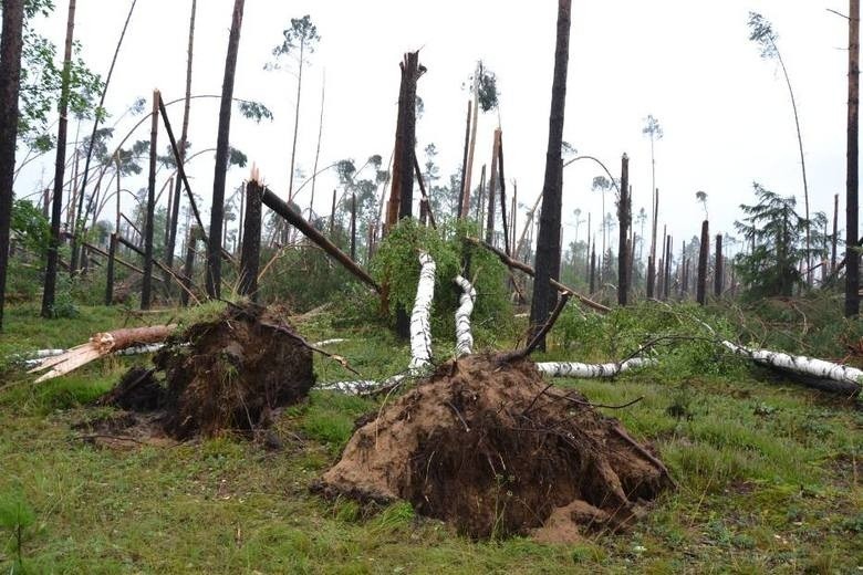 Zarzuty dla meteorologów m.in. z Krakowa ws. tragedii w Suszku na Pomorzu