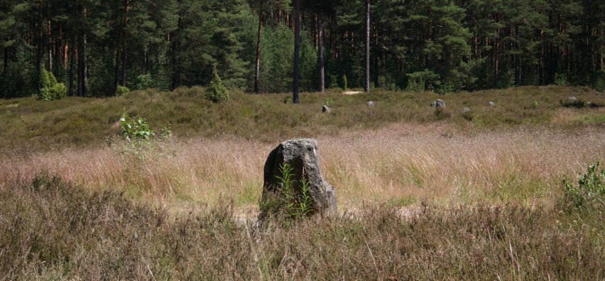 Kamienne kręgi w Odrach nie na darmo nazywane są „polskim...