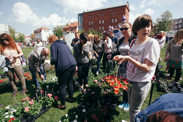 Ekofestyn na Wyspie Młyńskiej jest organizowany przez miasto po raz czwarty. Jak zawsze będzie m.in. wymiana odpadów na rośliny