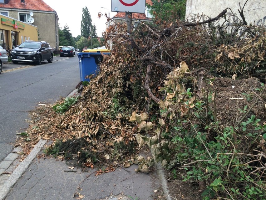 Tak wyglądają chodniki na Sępolnie po tym, gdy wynajęta...