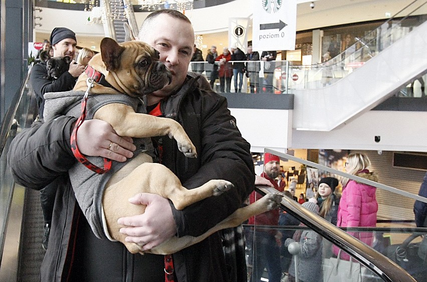 26. Finał WOŚP w Łodzi. Parada buldożków francuskich w Sukcesji [ZDJĘCIA]