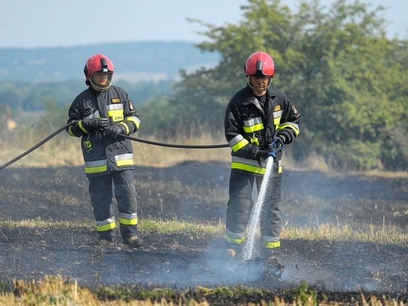 Groźny pożar ścierniska w Przemyślu [ZDJĘCIA]