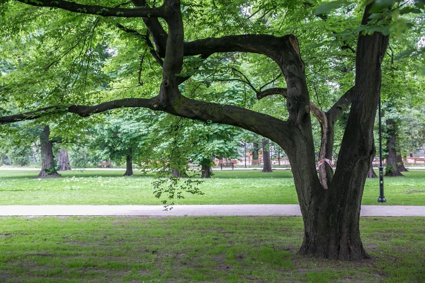 Park Krakowski po remoncie wygląda znakomicie. Zobacz EFEKT...