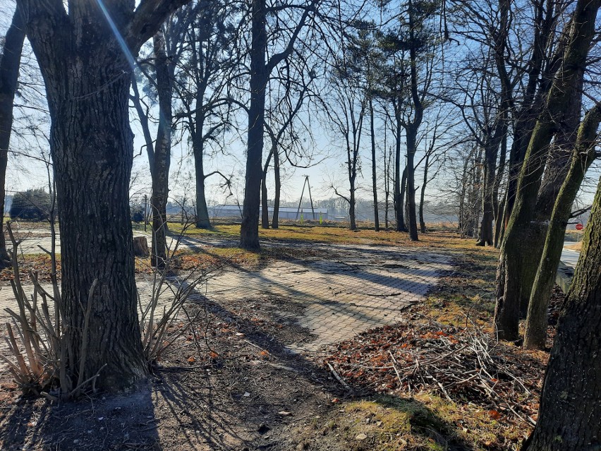 Dawny park cukrowniczy we Włostowie odzyska blask? Gmina Lipnik planuje rewitalizację. Zobacz zdjęcia