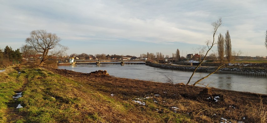 Opole. Rozpoczęto modernizację jazu na Odrze w Groszowicach....