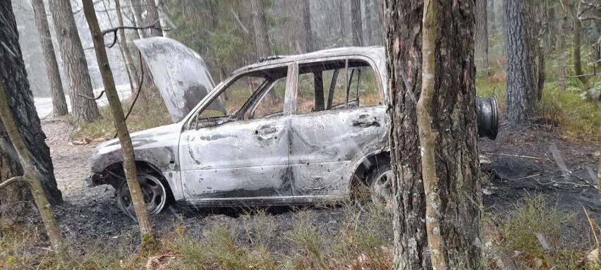 Spalony samochód w lesie w gminie Masłów. Co się wydarzyło? Zobacz zdjęcia