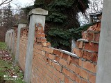 Mur cmentarza żydowskiego w Toruniu się rozpada. Kiedy zostanie naprawiony? [zdjęcia]