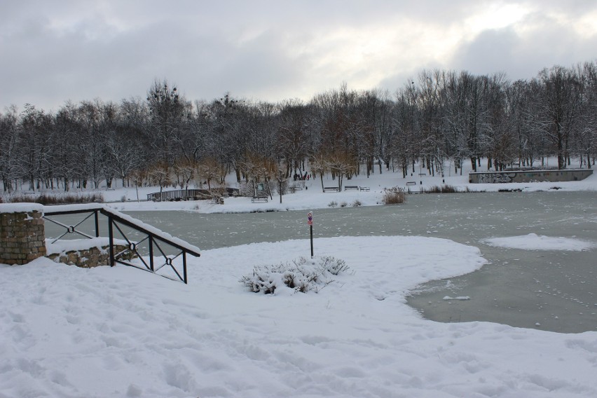 Park Kachla w Bytomiu zimą. Zobacz kolejne zdjęcia >>>